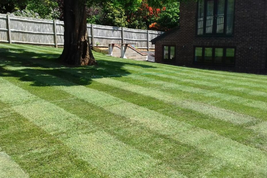 Lawn Mowing in Walsall
